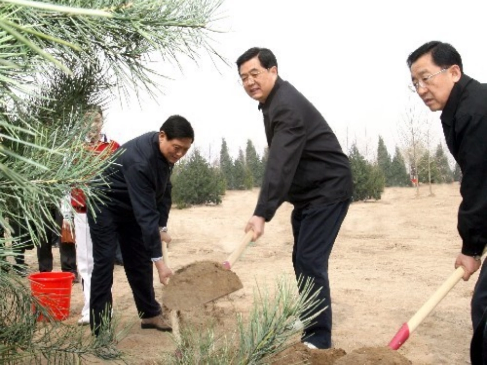 植树问题(两端要栽)_第1页