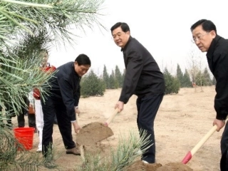 植树问题(两端要栽)