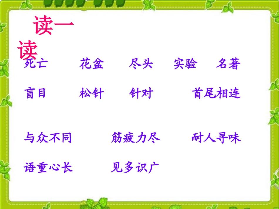 毛毛虫的故事_第2页