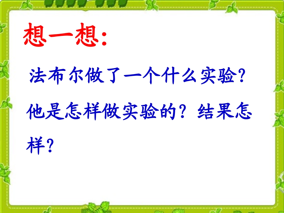 毛毛虫的故事_第3页