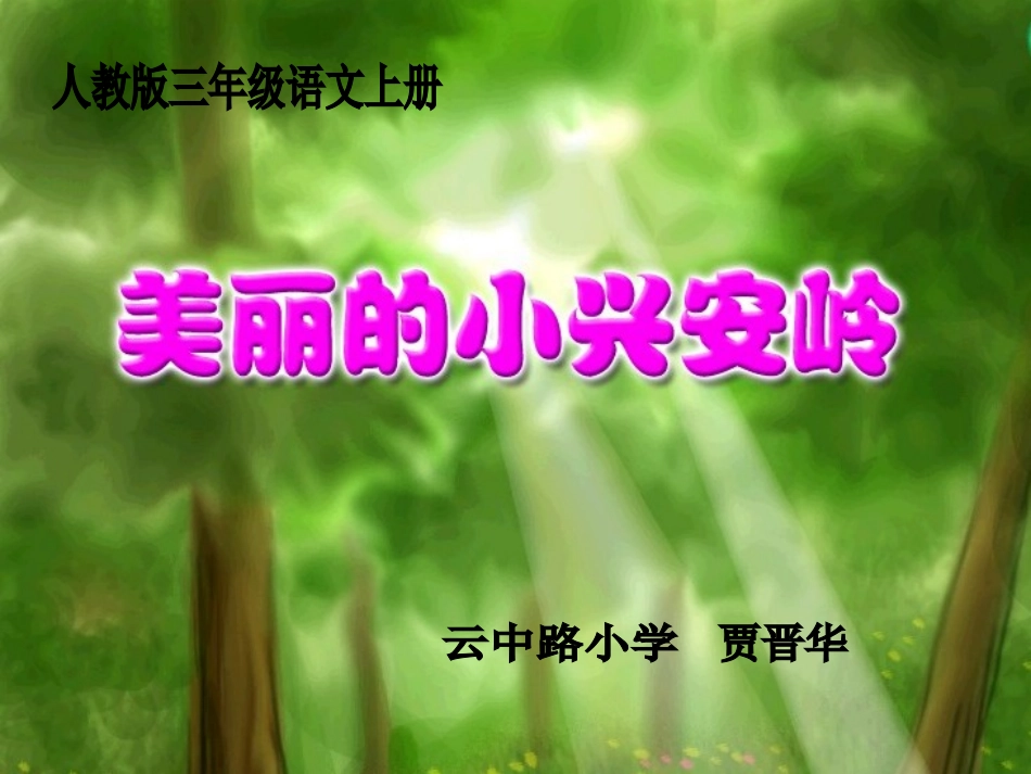 美丽的小兴安岭用_第1页