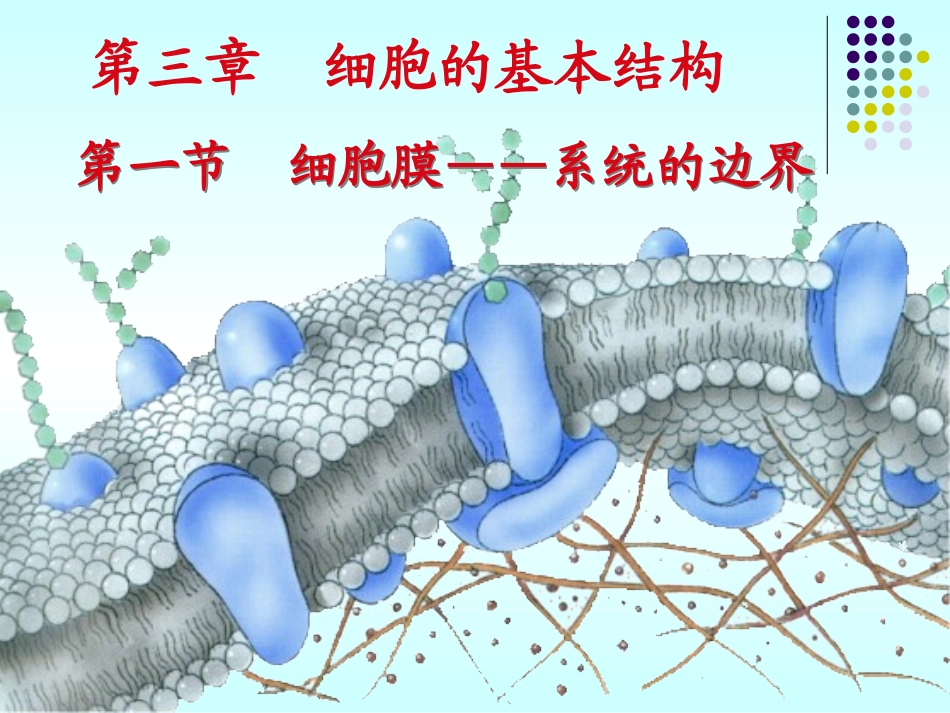 第一节细胞膜—系统的边界_第2页