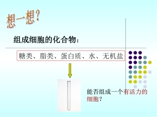 第一节细胞膜—系统的边界