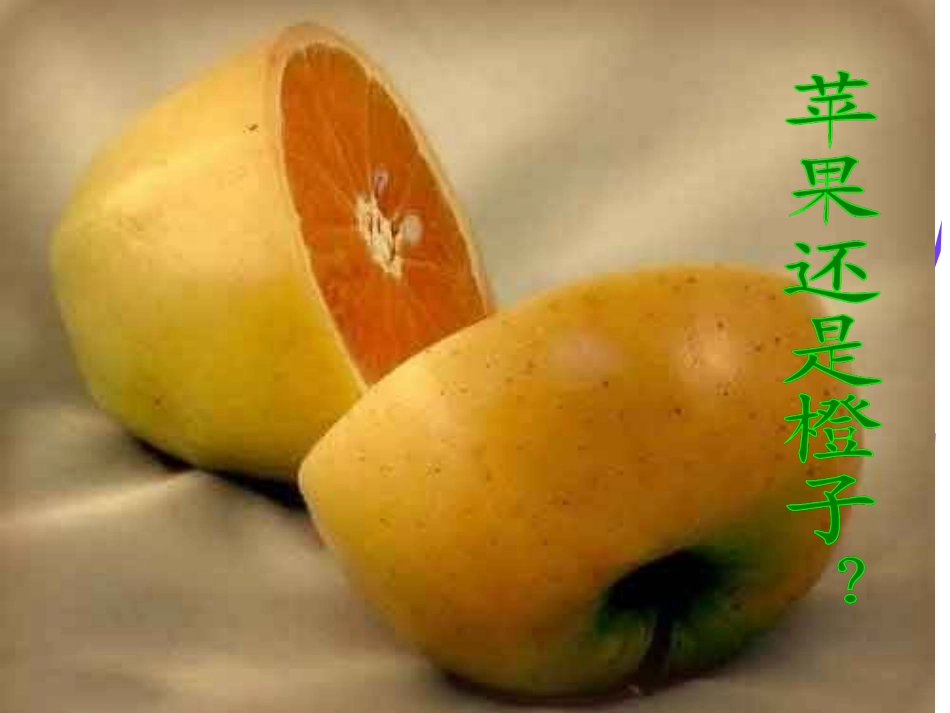 《送你一束转基因花》_第1页