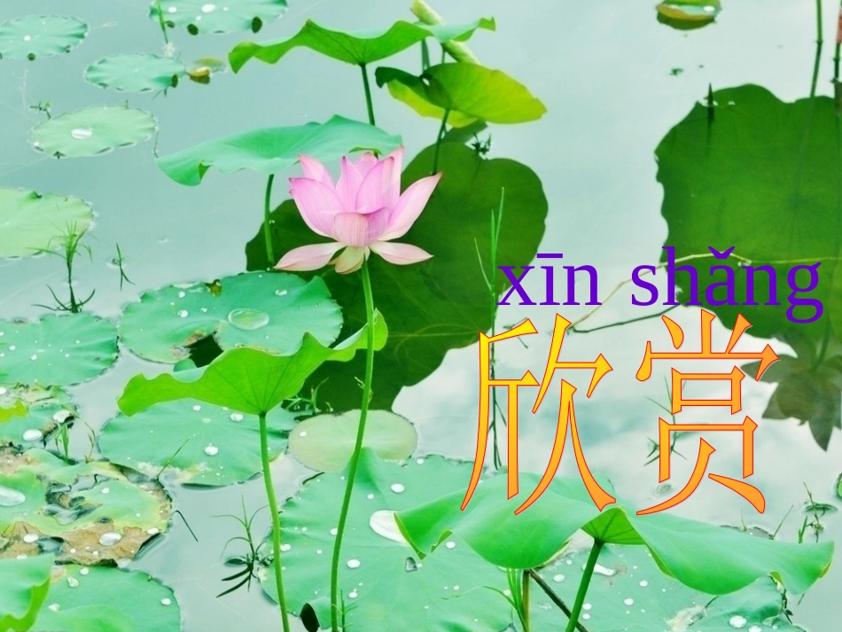 （中小学精品）《清澈的湖水》_第2页
