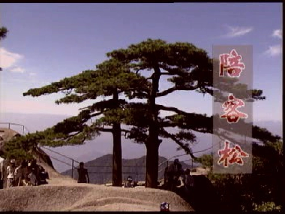 走一步，再走一步（演示）_第1页