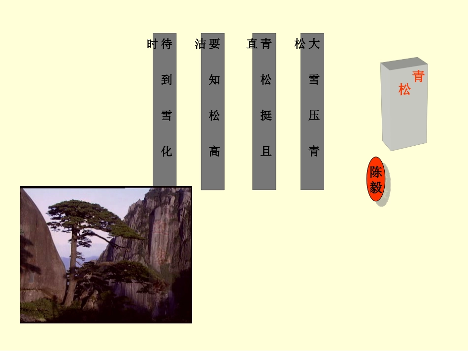 走一步，再走一步（演示）_第2页