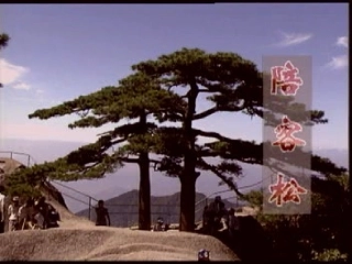 走一步，再走一步（演示）