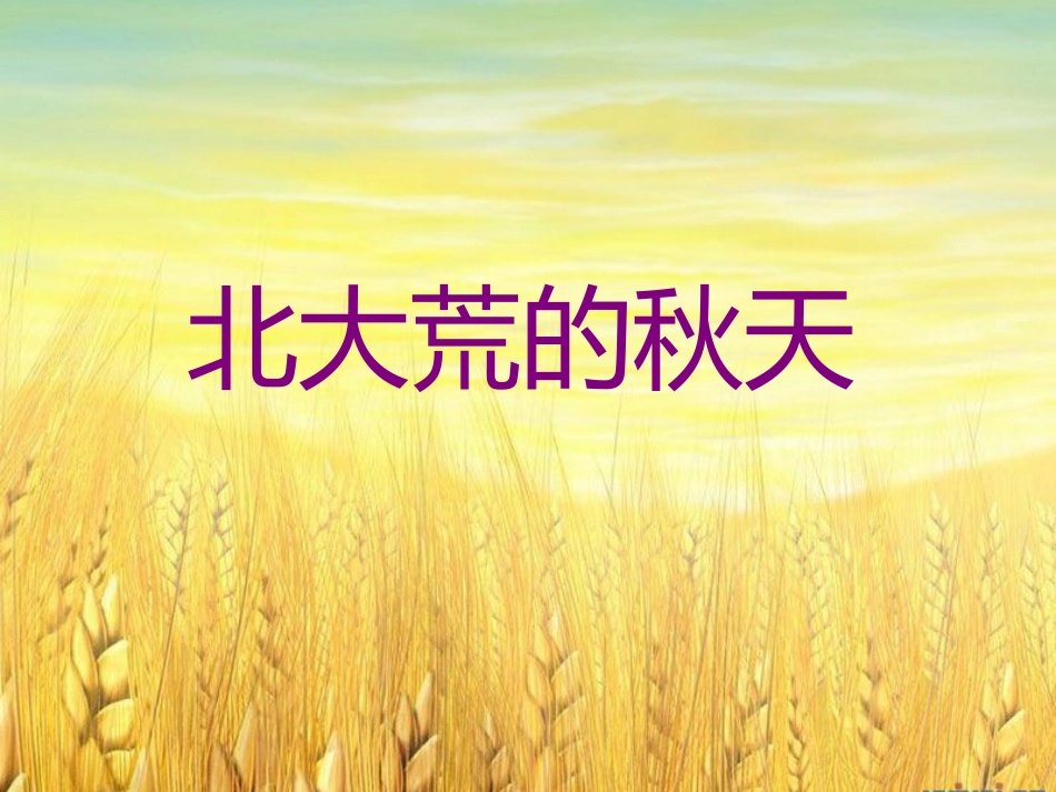 （中小学精品）《北大荒的秋天》课件_第2页
