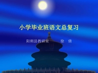 综合小学毕业班语文总复习