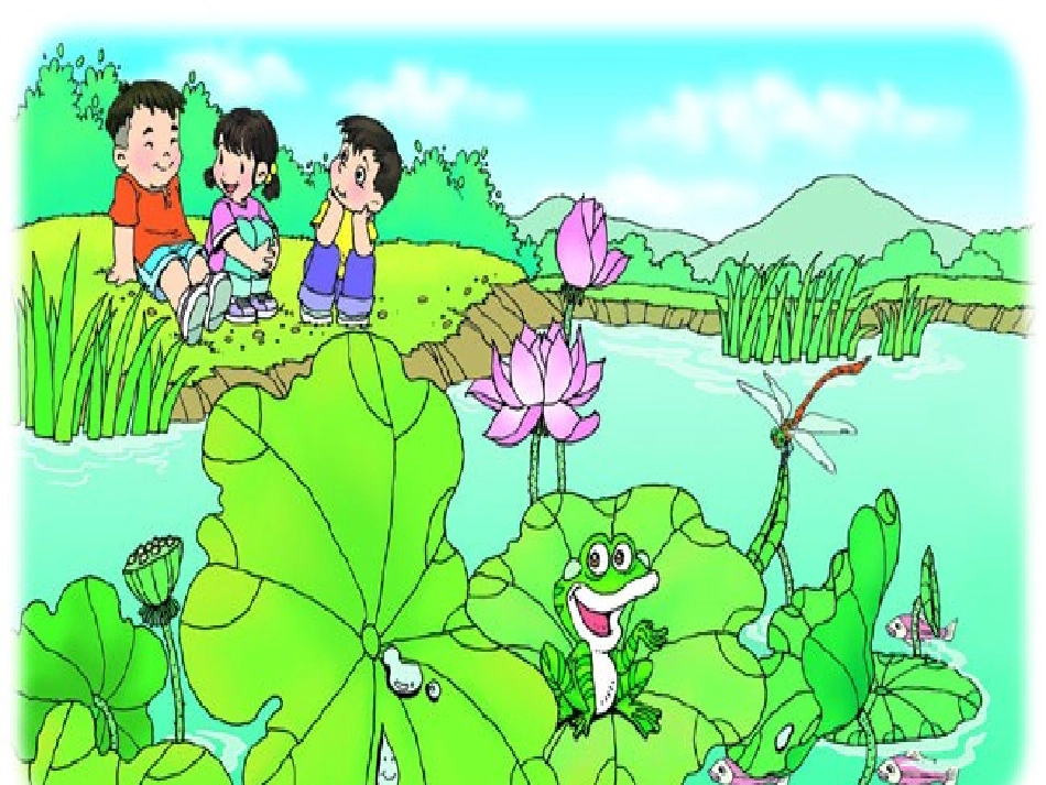 （中小学精品）荷叶圆圆课件_第3页