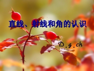 直线、射线和角的认识