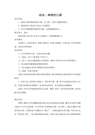 综合：神奇的口袋