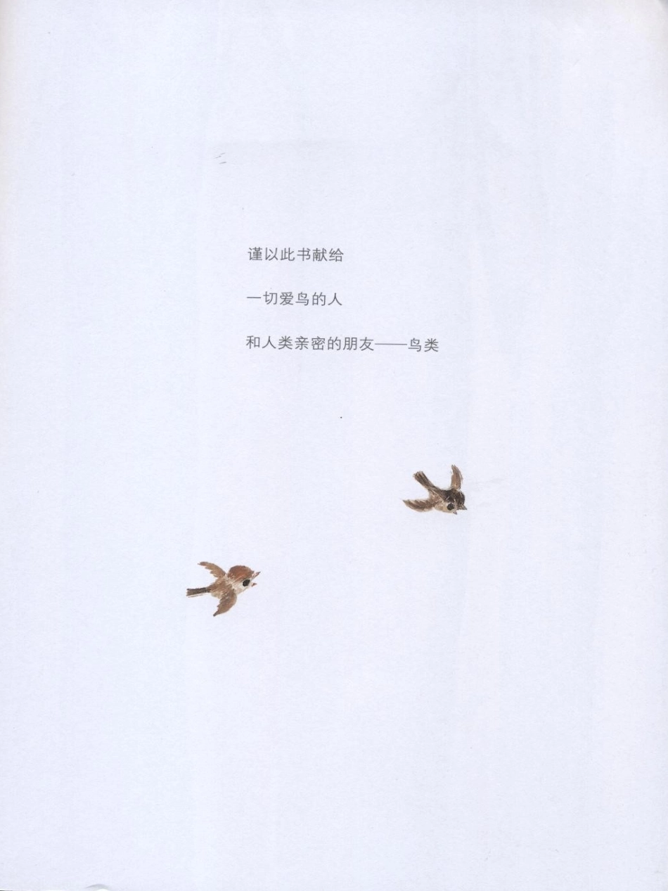 绘本课件：鸟窝_第2页