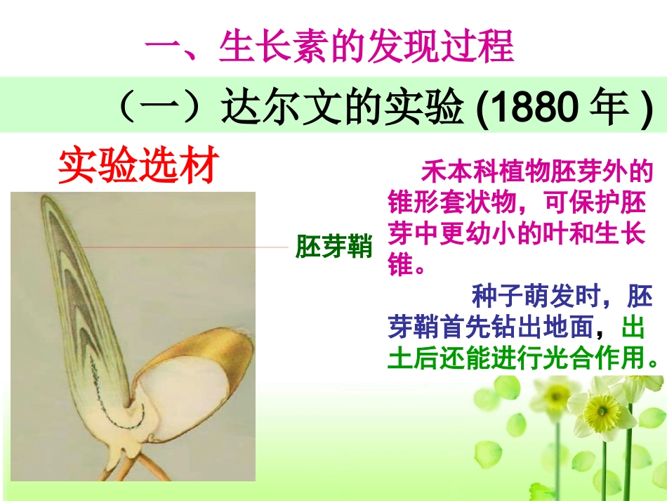 （中小学精品）植物生长素的发现_第3页