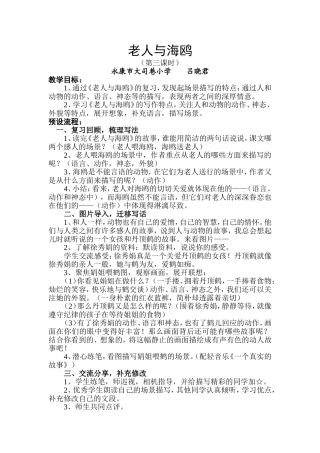 老人与海鸥（第三课时）