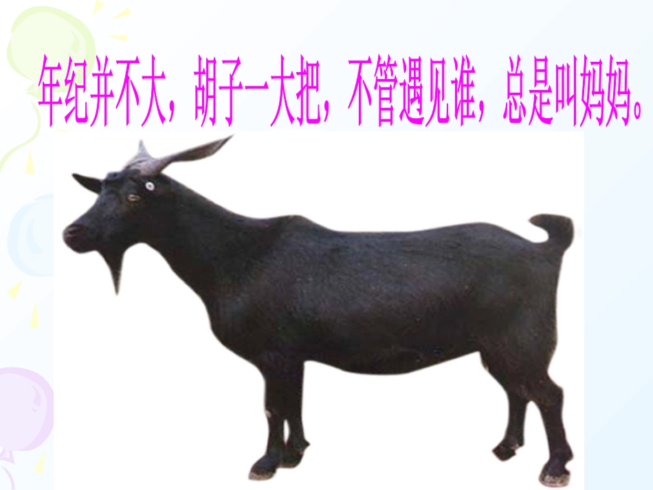 (中小学精品）我喜欢的动物课件_第2页