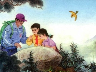 三年级语文上册《石头书》