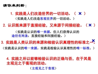 在实践中追求和发展真理