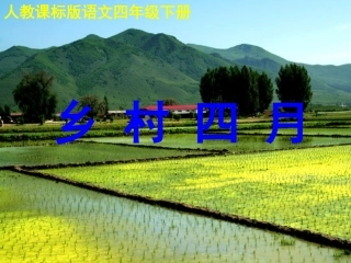 《乡村四月》课件