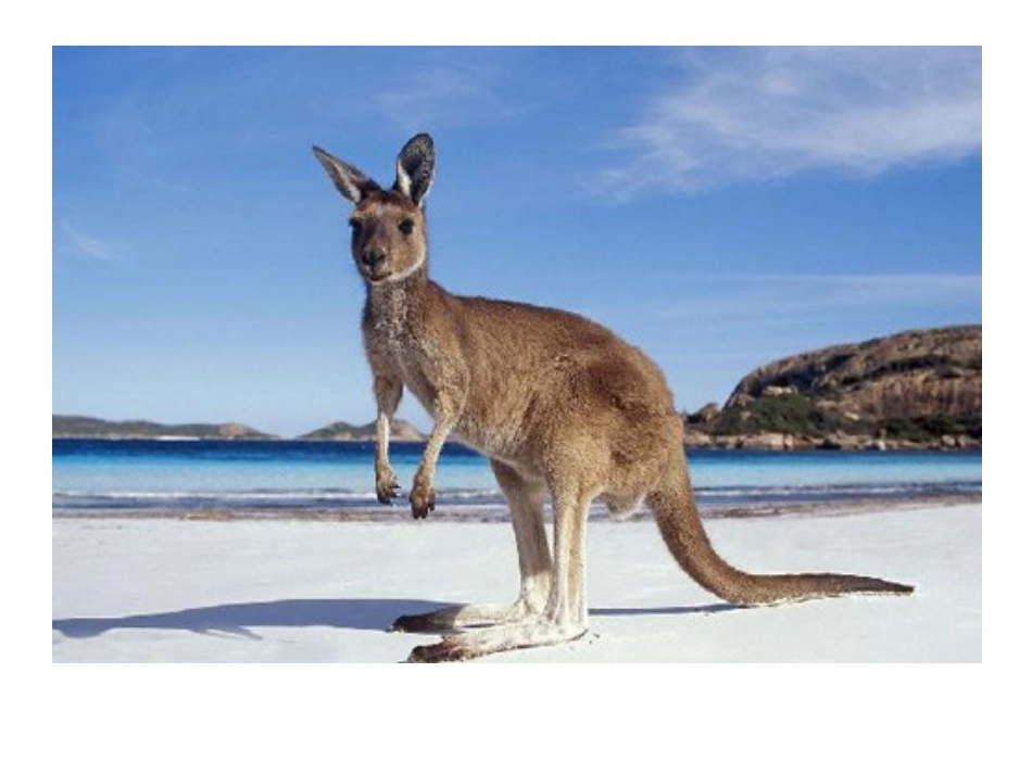 六年级-第二单元-分数乘整数_第2页