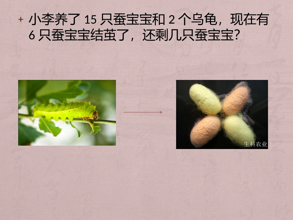 谁是无用的信息？_第2页