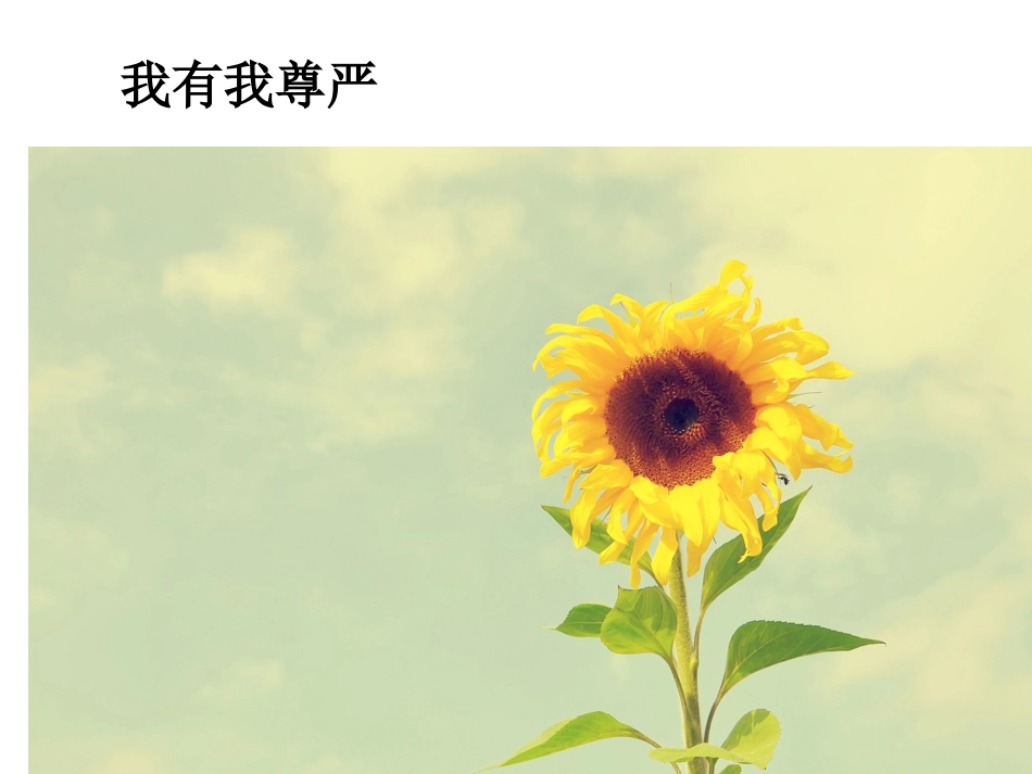 (中小学精品）我有我尊严_第1页