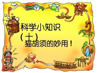 猫胡须的用处