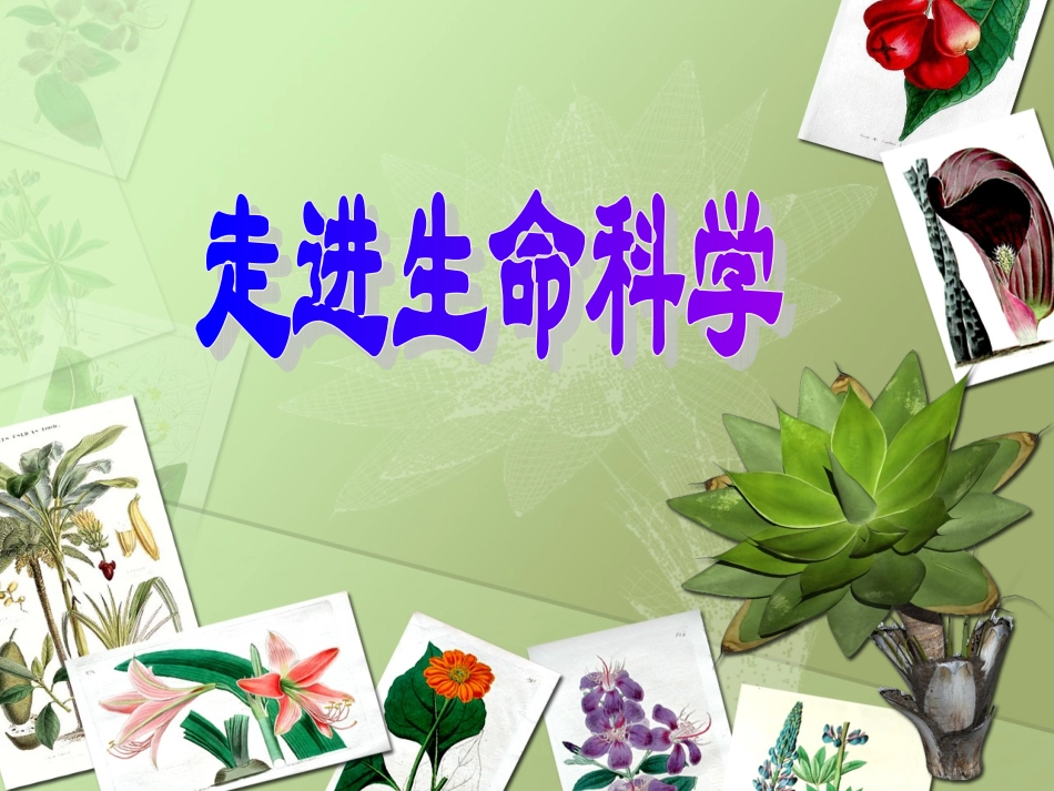 致同学-走进生命科学_第1页