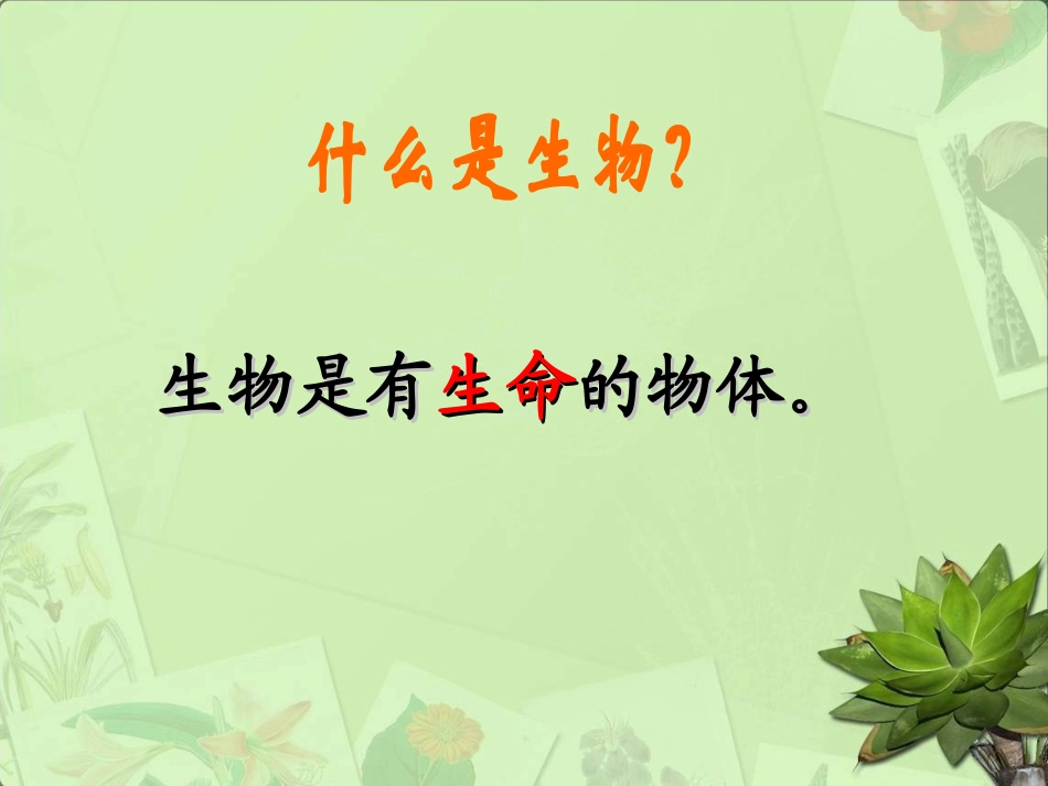 致同学-走进生命科学_第2页
