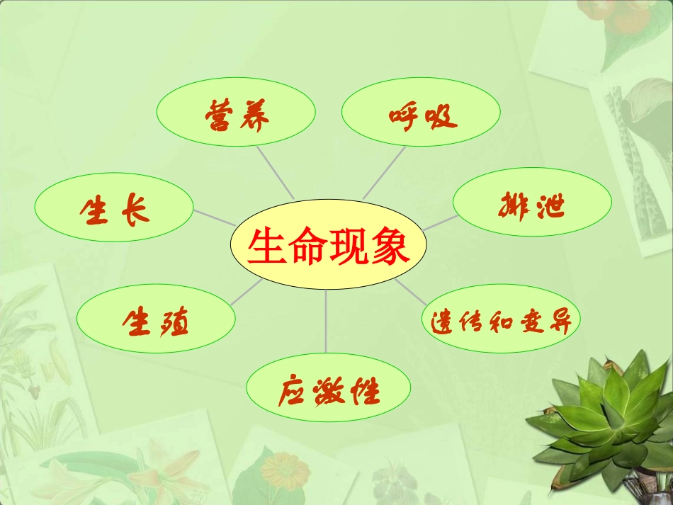 致同学-走进生命科学_第3页