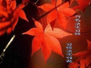 良好的行为习惯