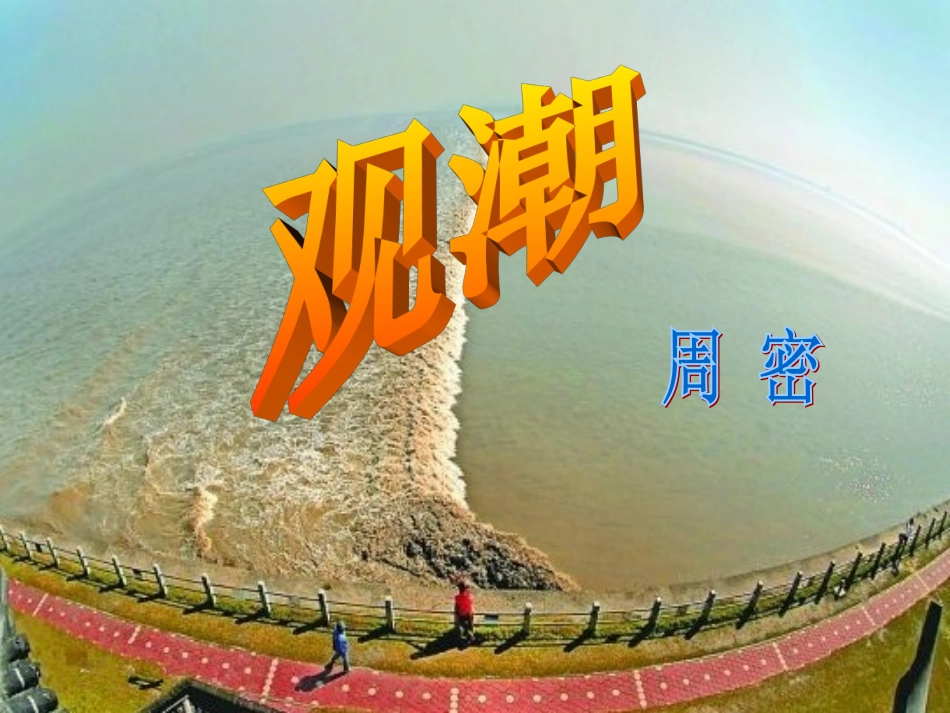 教学课件观潮_第1页