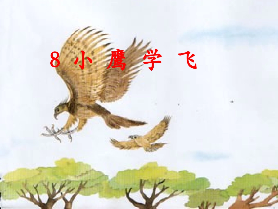 苏教版小学语文二年级上册《小鹰学飞》课件_第1页