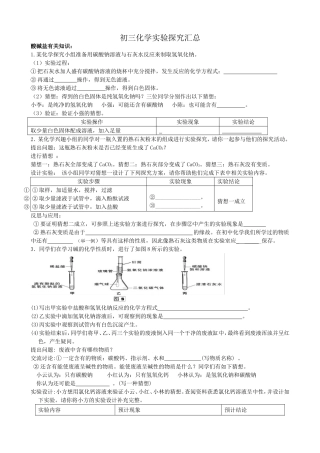 酸碱盐知识实验探究