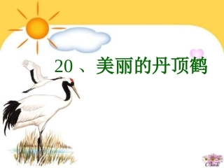 （中小学精品）《美丽的丹顶鹤》