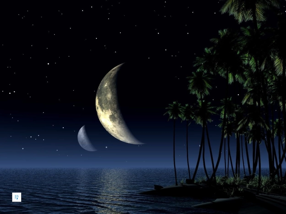 (中小学精品）十五夜望月_第1页