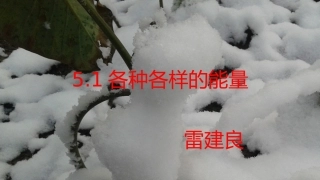 各种各样的能量