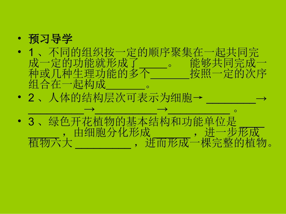 生物体的器官、系统_第2页