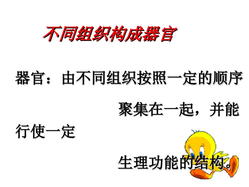 生物体的器官、系统_第3页