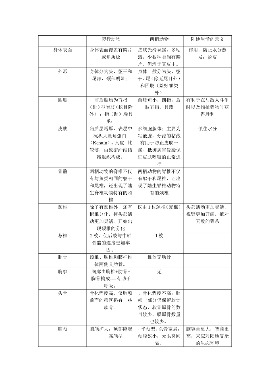 爬行动物（参考）_第1页