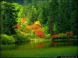 (中小学精品）主谓一致要点精讲