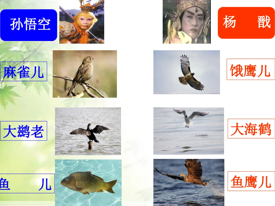 （中小学精品）小圣施威降大圣_第3页
