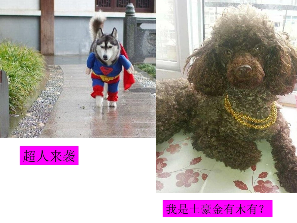 第十七课时《善于调控情绪》_第2页