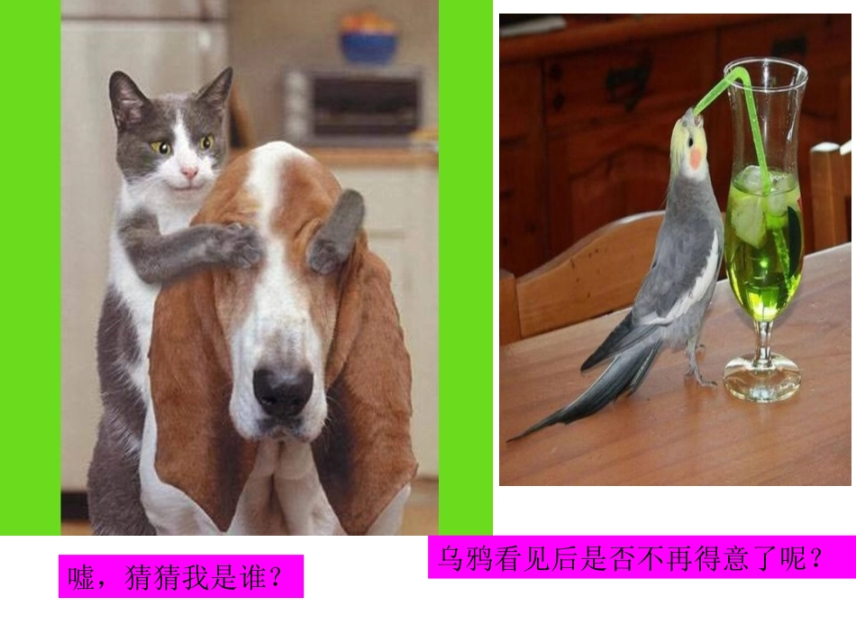 第十七课时《善于调控情绪》_第3页