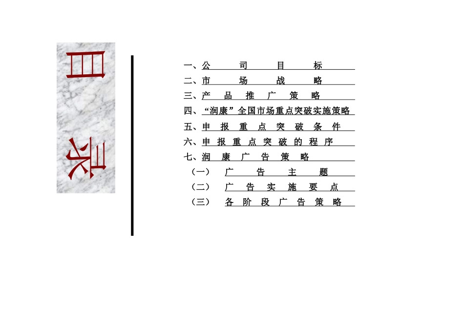 润康市场推广策略研究报告_第2页