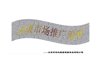 润康市场推广策略研究报告