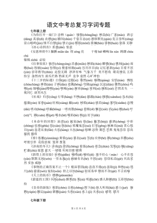 语文中考总复习字词专题