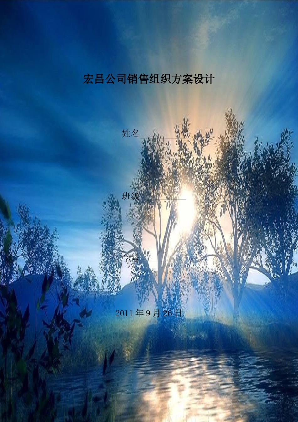 销售组织方案设计_第1页