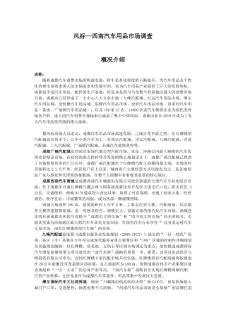 西南汽车用品市场专题